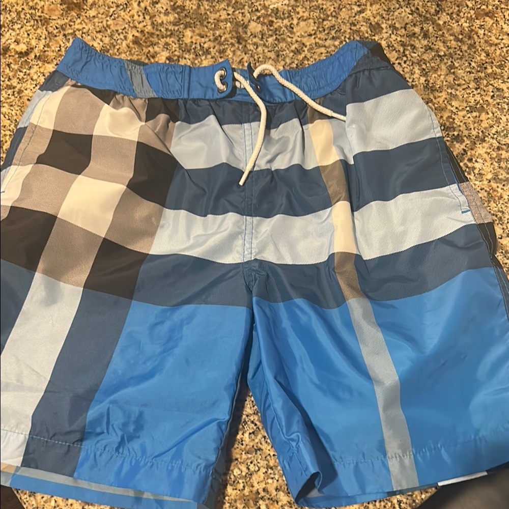Burberry Blue and Black Swim Trunks Quick-Dry cut the netting out of it